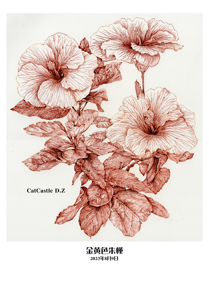 蘸水笔针管笔|一枝金色的朱槿