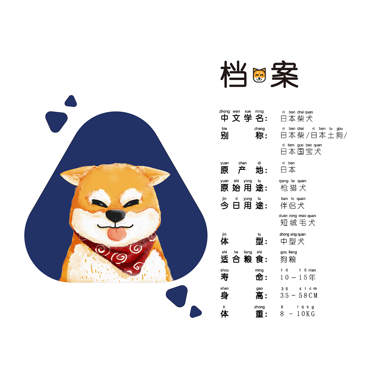 书籍装帧-《狗狗日记》(儿童狗狗科普绘本手工书)