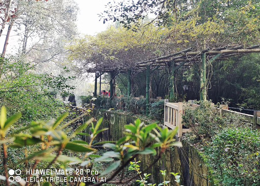 成都大熊猫基地