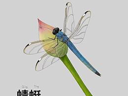 動(dòng)植物主題插畫