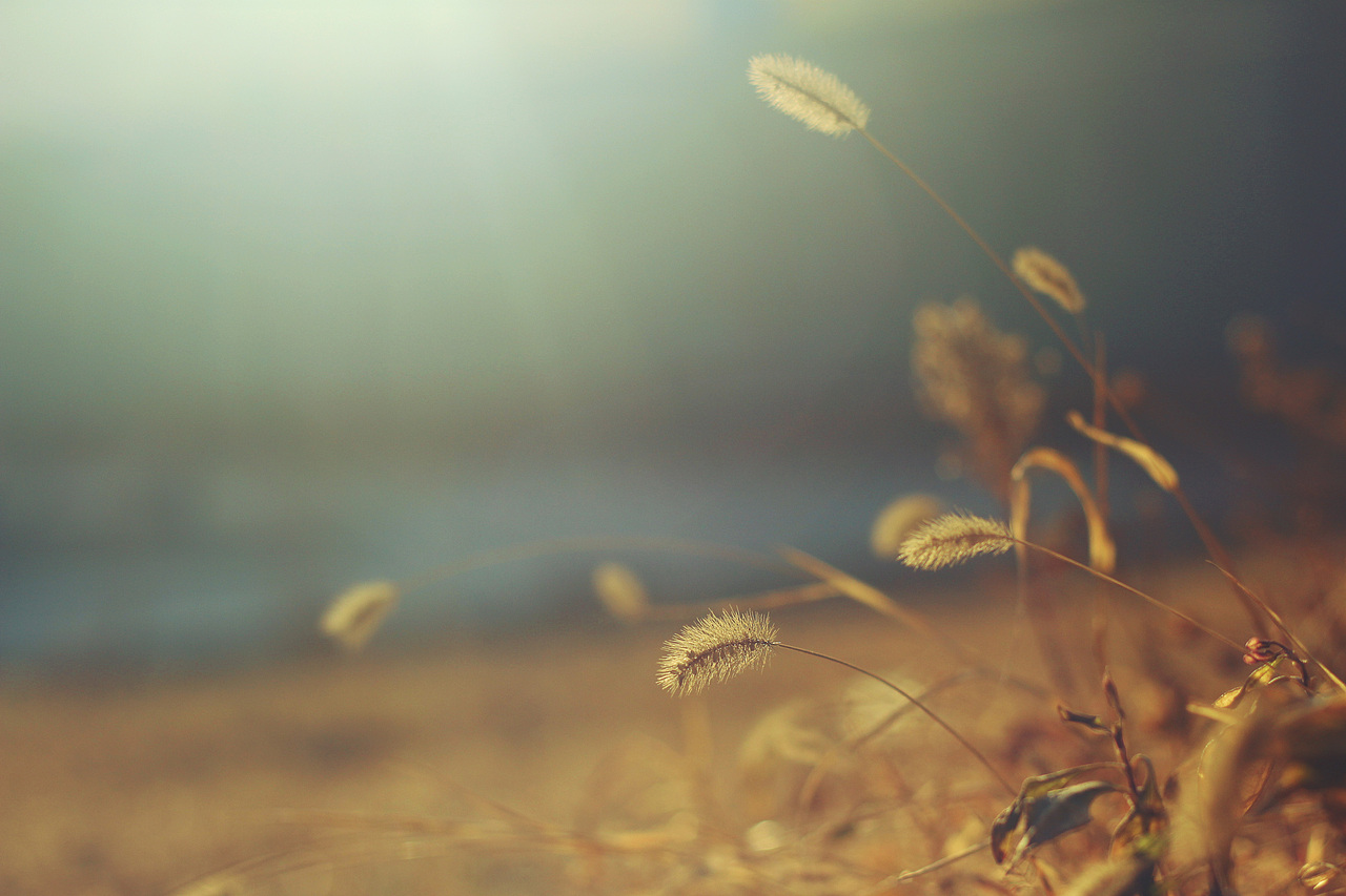 秋（图ZMTI0MjA3MTU2） - 风光摄影 - 站酷设计师ma675055787原创素材 - 站酷ZCOOL