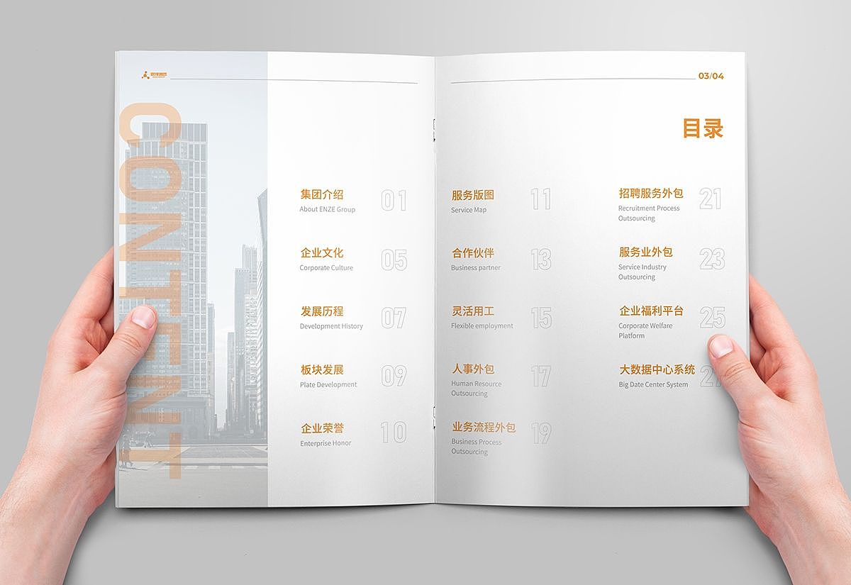 苏州极地视觉品牌设计-恩泽集团