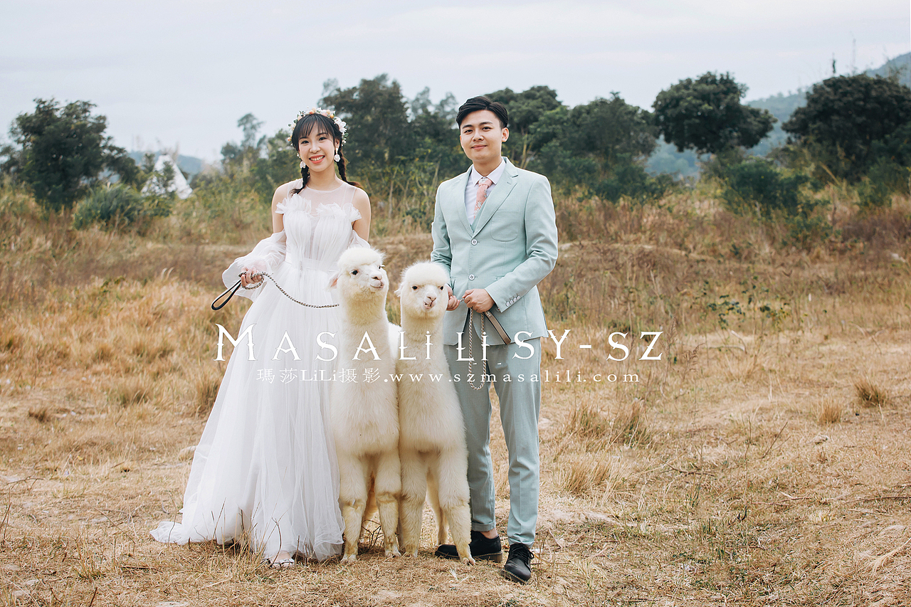 萌宠羊驼青青牧场旅拍婚纱照深圳瑪莎莉莉婚纱摄影出品