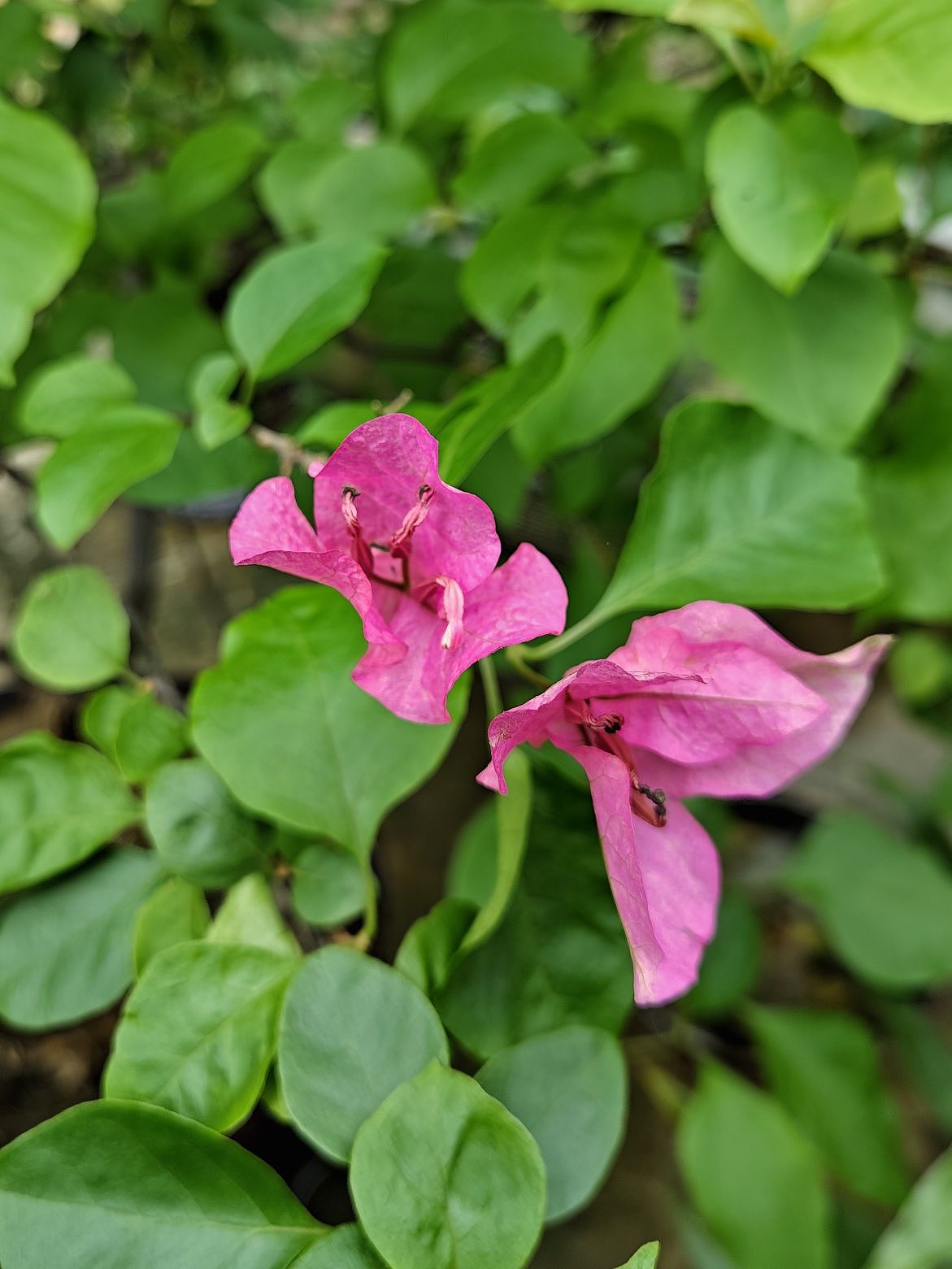 暴雨过后（图ZMzY4MDUzNTI0） - 风光摄影 - 站酷设计师圆真王子原创素材 - 站酷ZCOOL