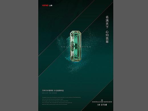 万科翡翠柏樾-视觉提案