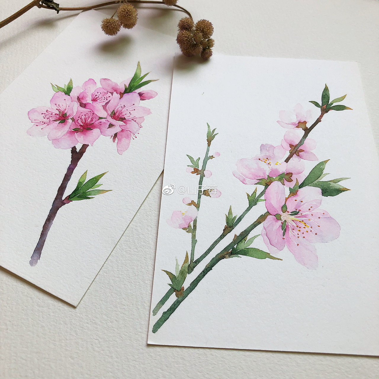 一组水彩手绘 桃花（图ZMTUxNjYyMTM2） - 绘画 - 站酷设计师山子莓原创素材 - 站酷ZCOOL