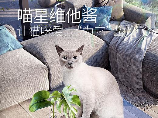 宠物食品零食喵星维他酱详情页