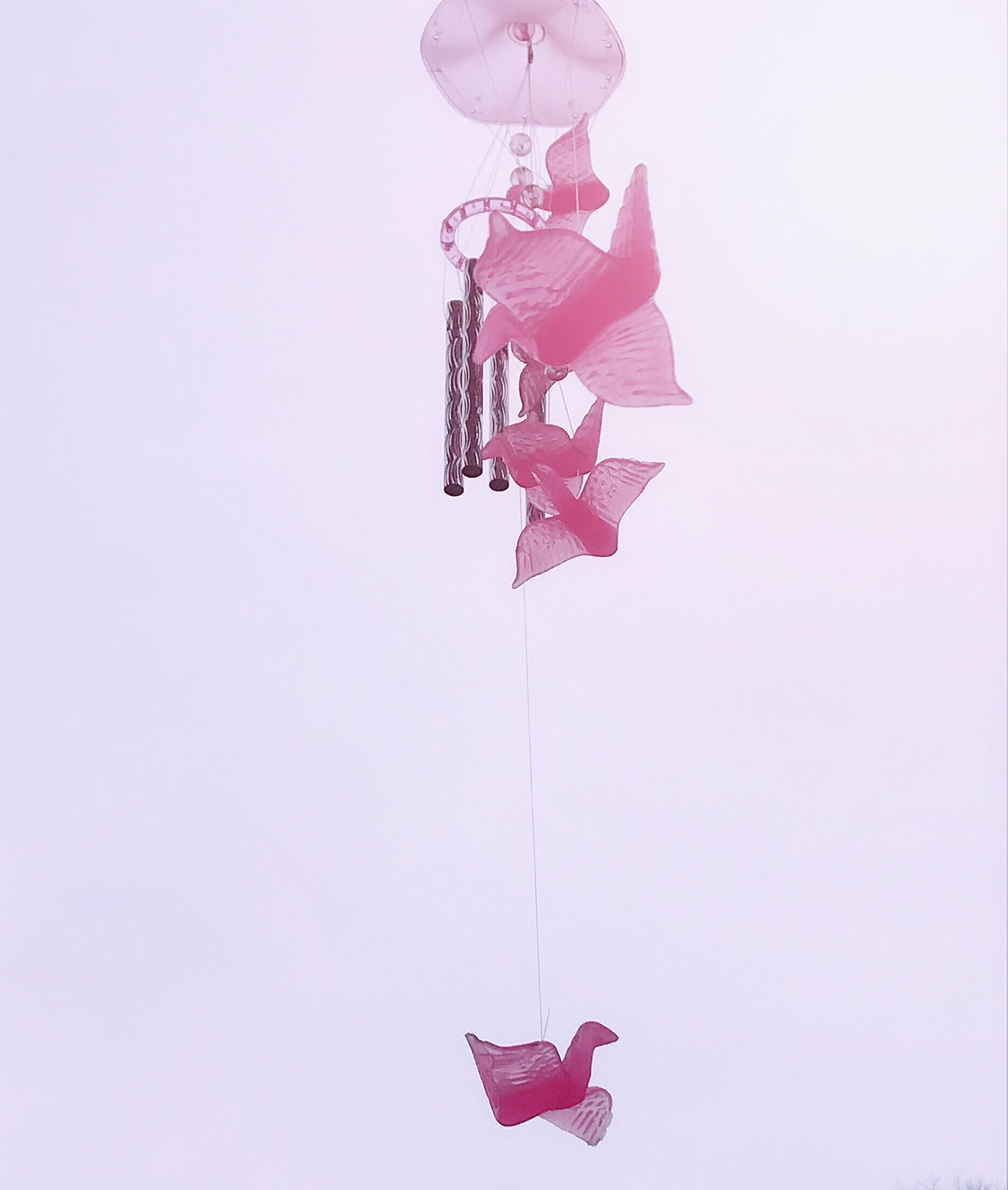 Nia妮婭的個人主頁（背景預覽） - 主頁背景設置 - 站酷設計師Nia妮婭原創(chuàng)素材 - 站酷ZCOOL