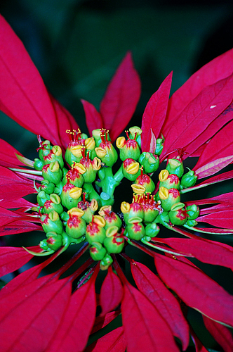 忙里偷闲拍的片片