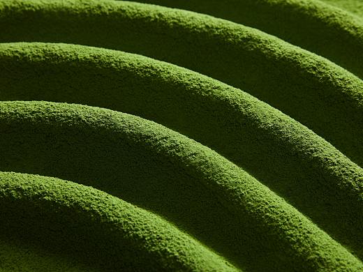 坚果视觉工厂&贵茶集团