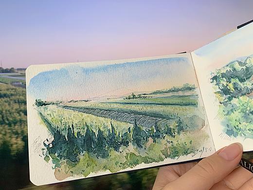 田野速写(水彩写生)2019年7月