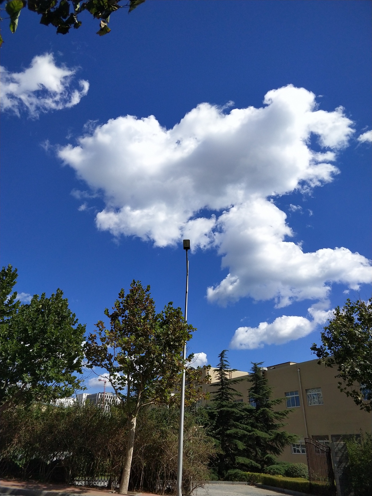 2018年手机摄影作品(稀奇古怪的)