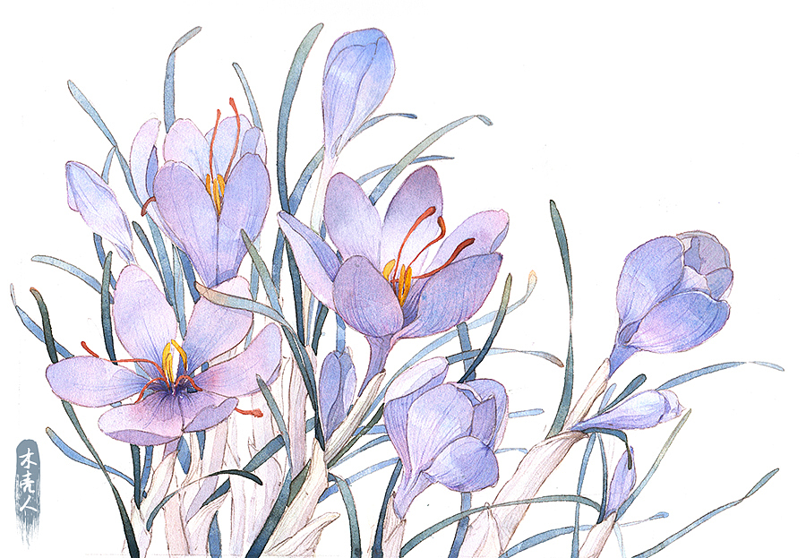 一组面膜插画（图ZMTI4MDkwNjI4） - 商业插画 - 站酷设计师木壳人原创素材 - 站酷ZCOOL