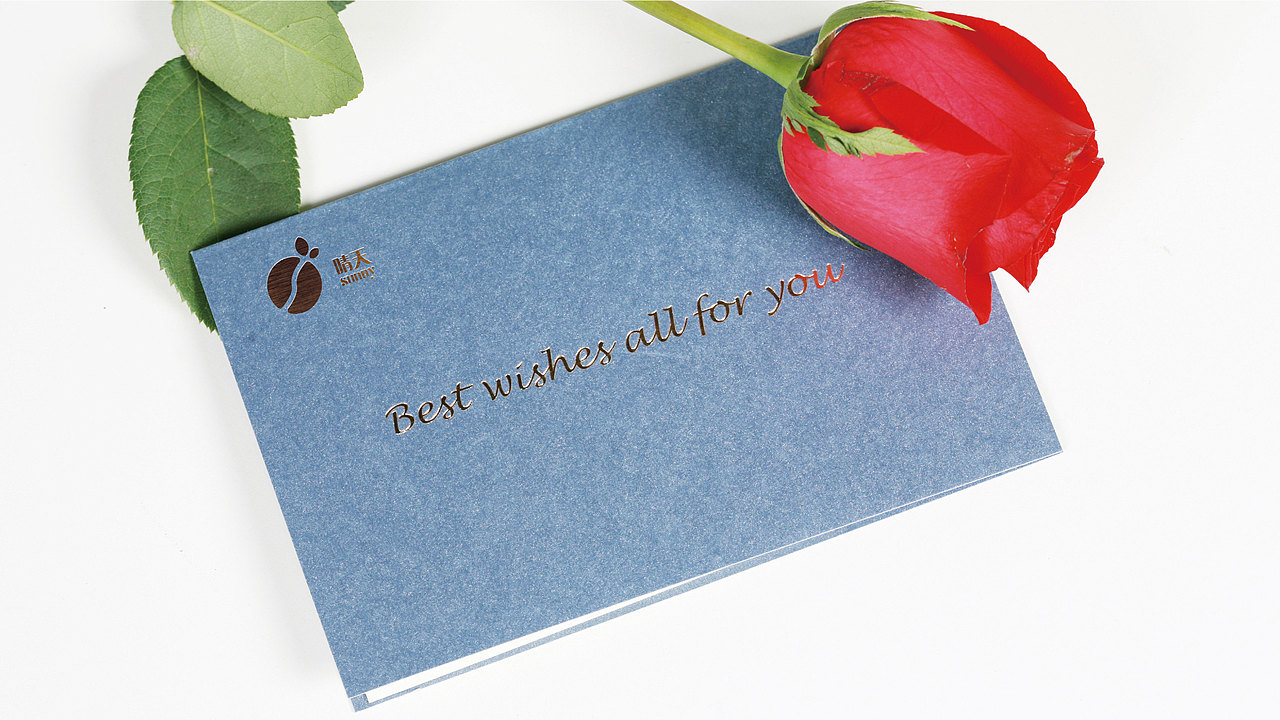 晴天咖啡logo（图ZMjUxNTI3NzQ0） - Logo - 站酷设计师南山覆雪原创素材 - 站酷ZCOOL