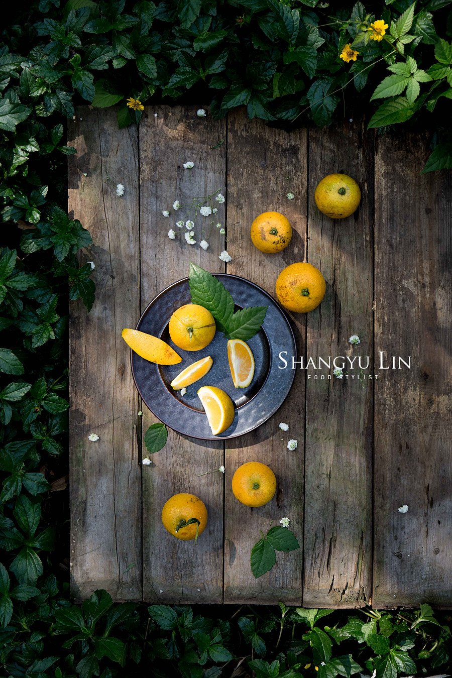 原创作品:饮露餐风 食物摄影
