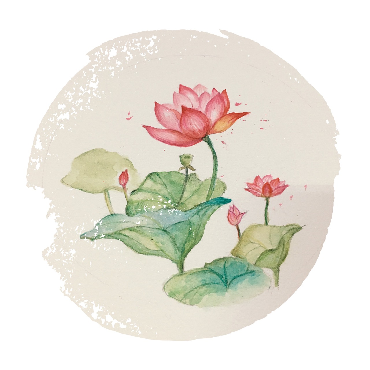 花开池中谁懂她伤