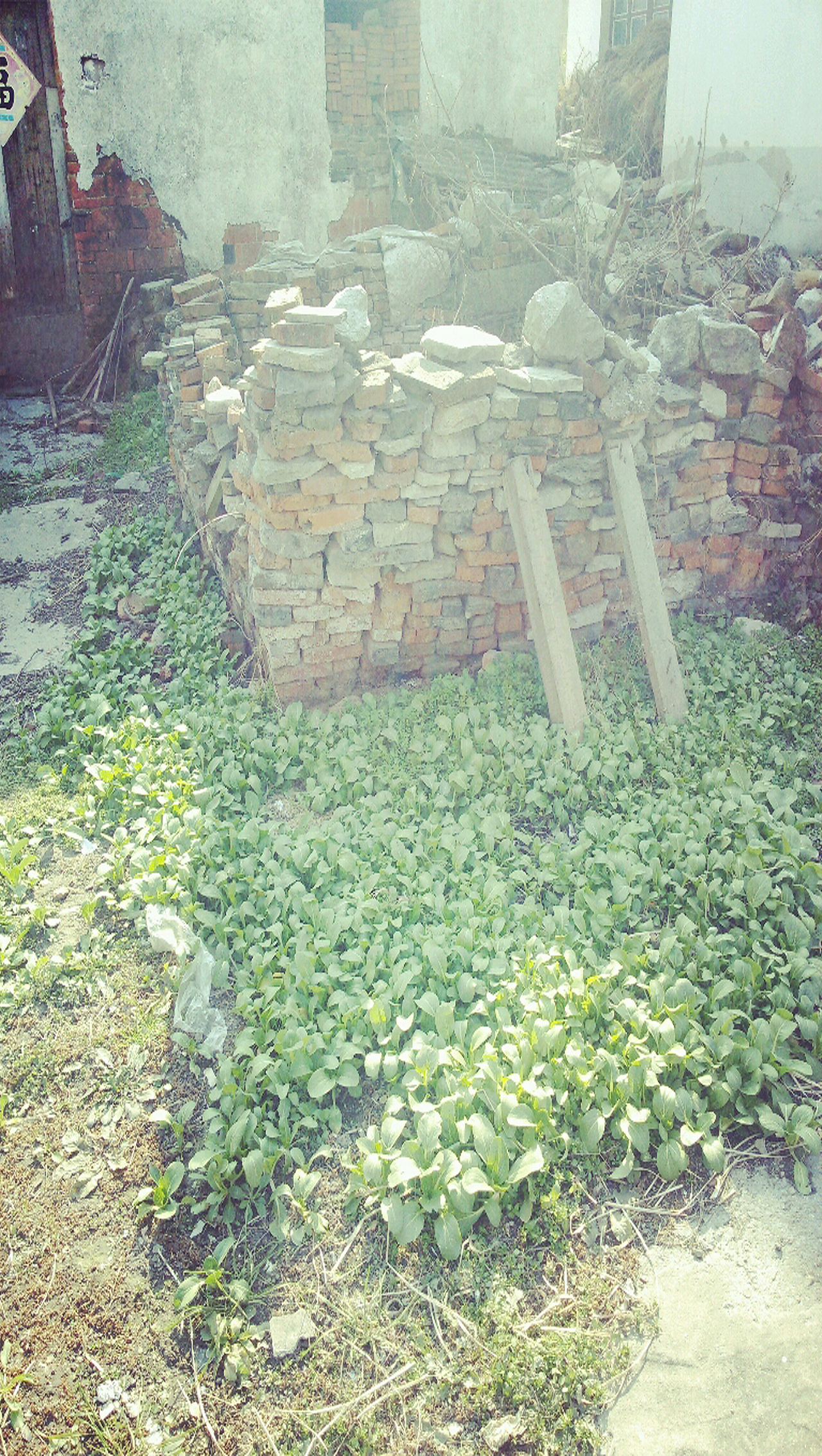 冬日·静谧（图ZMzY2ODU5NTI=） - 其他摄影 - 站酷设计师IssueBeam原创素材 - 站酷ZCOOL