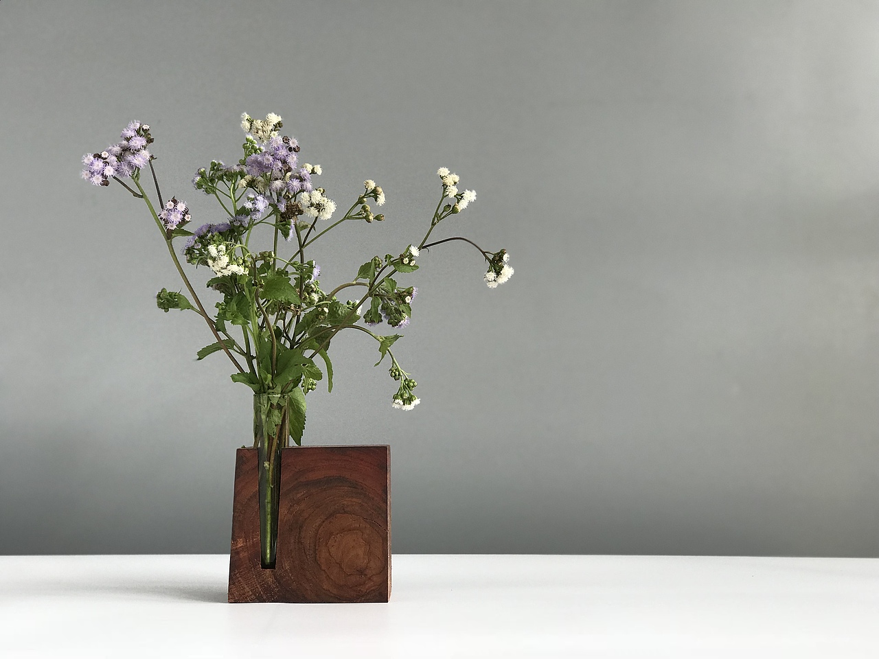 花器 Floral organ（图ZOTg0NTc5NjQ=） - 实验艺术 - 站酷设计师谈木集原创素材 - 站酷ZCOOL