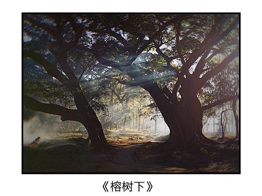 吕燕群先生摄影作品——2020年12月