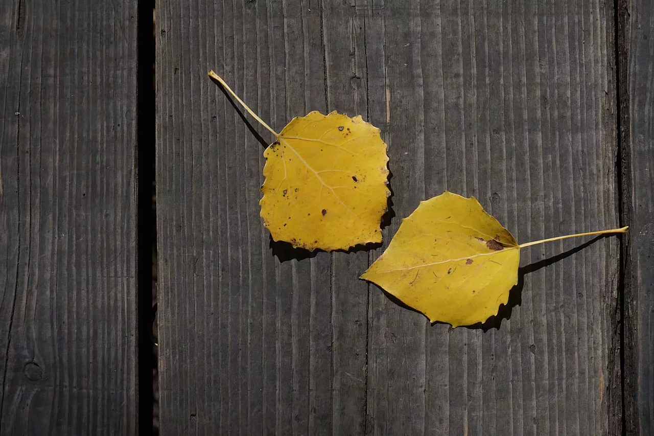 长白山天池——秋（图ZMTM1MDIyNzk2） - 风光摄影 - 站酷设计师To马设计原创素材 - 站酷ZCOOL