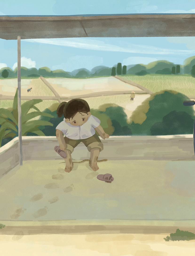 个人插画|夏日回忆录