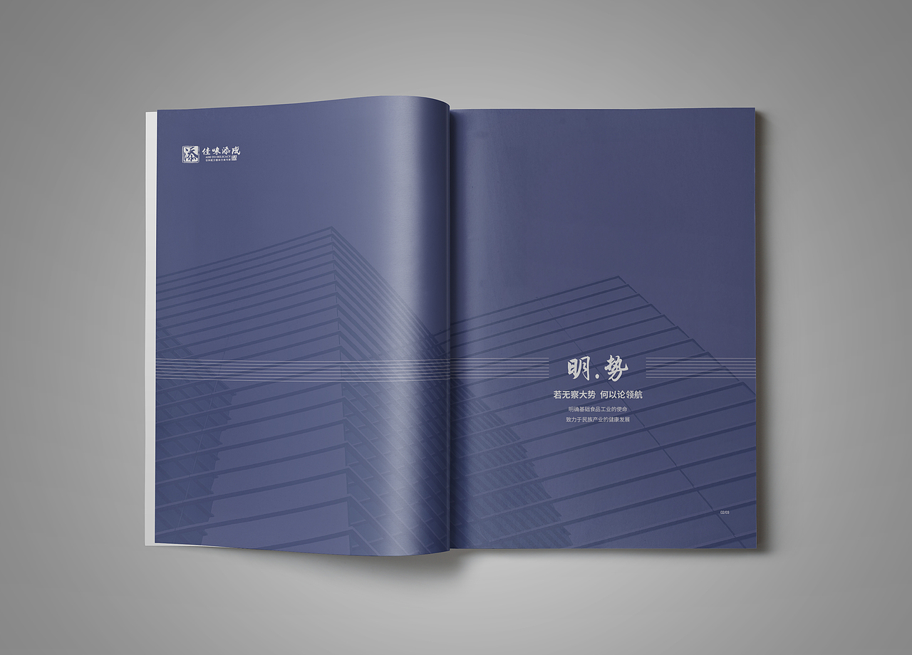 企业画册/宣传册