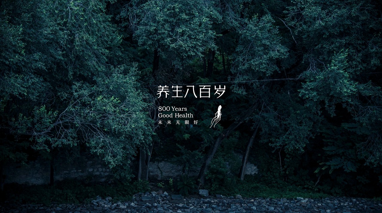 TORTOISE | 品牌集陆（图ZMTM2NDgxMDY4） - 品牌 - 站酷设计师反光品牌Studio原创素材 - 站酷ZCOOL