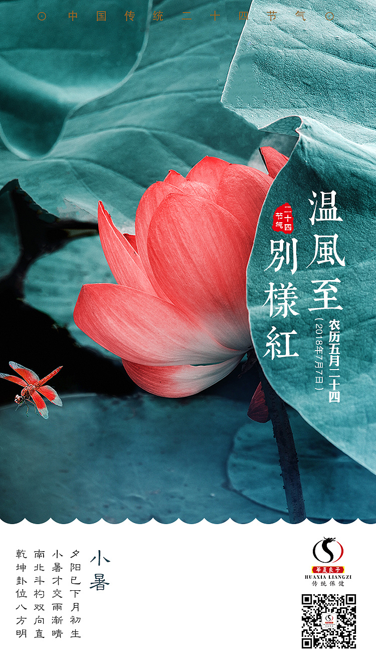 小暑 节气海报（图ZMTIwNjk0MjI4） - 海报 - 站酷设计师艺舟1014原创素材 - 站酷ZCOOL