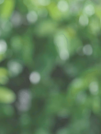电商摄影 | 花萃泉玉见系列 ✖ baimabrand