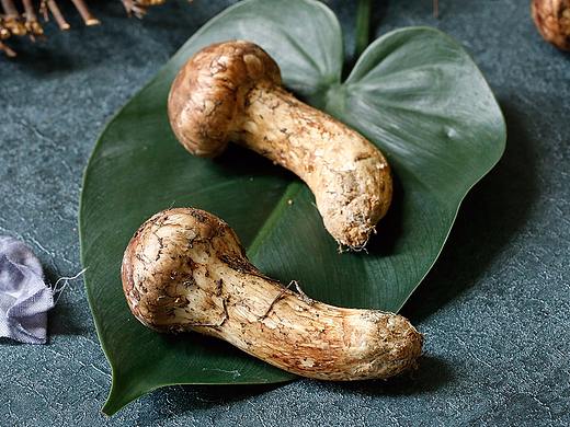 香格里拉新鲜松茸详情页设计 野生菌 菌子蘑菇