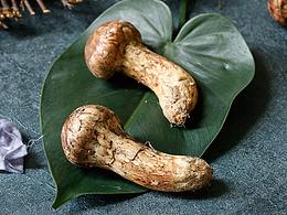 松茸