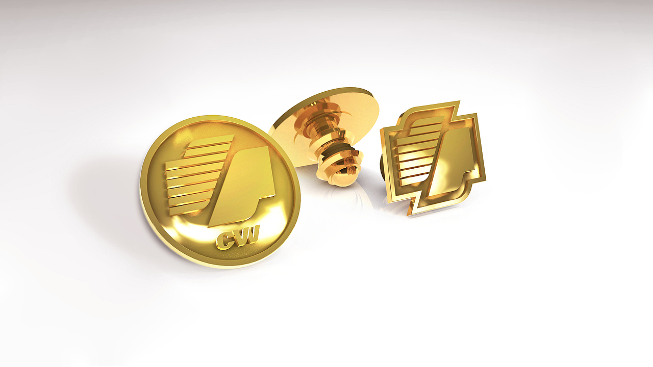 中懿德集团品牌形象