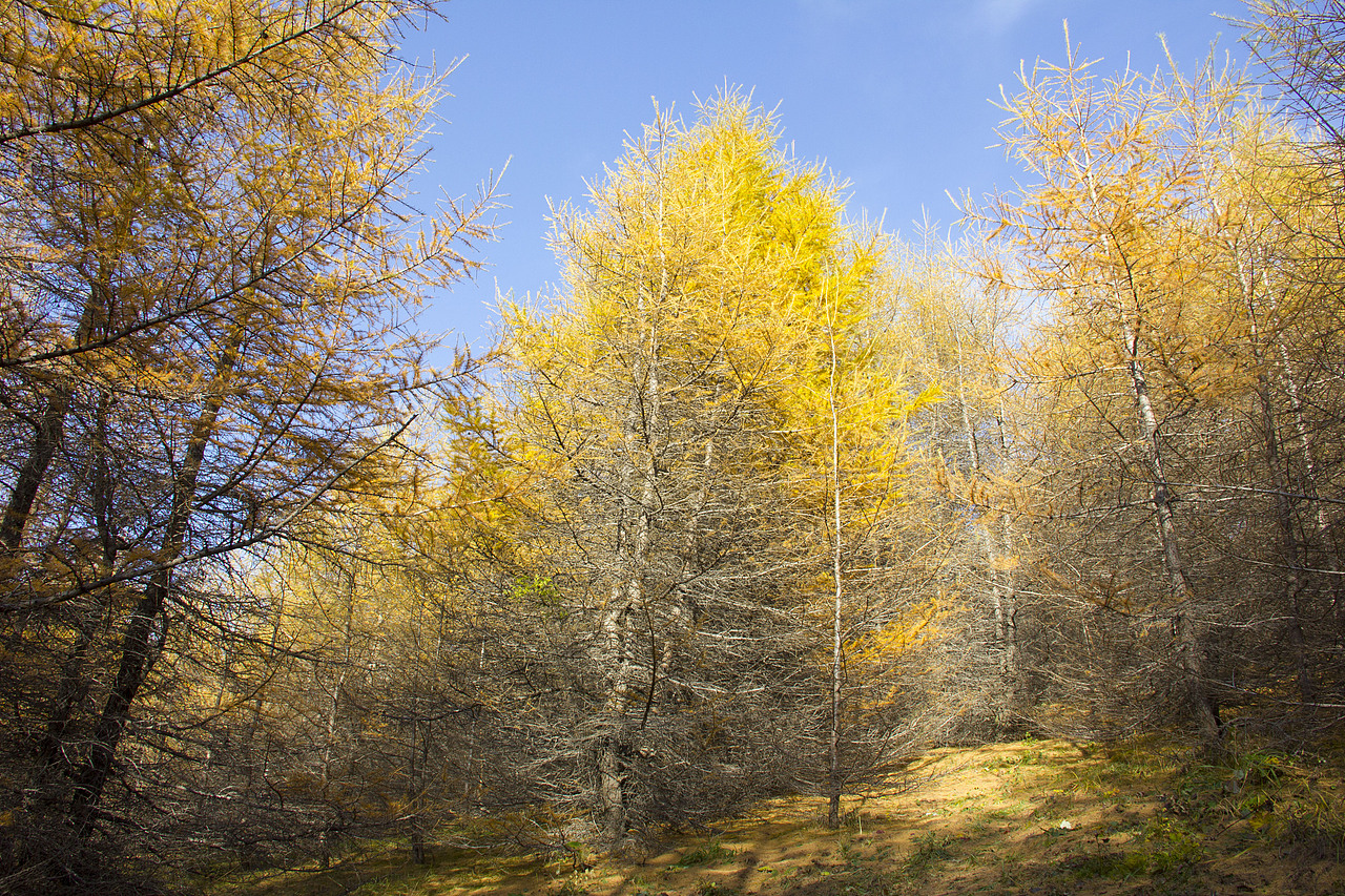 形色光影之景物篇