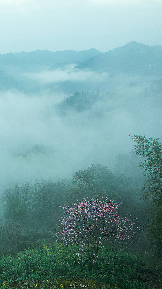 东方晨暮,四季更迭,这一年。