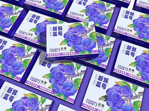 水果包装设计｜蓝莓包装设计｜农产品包装设计