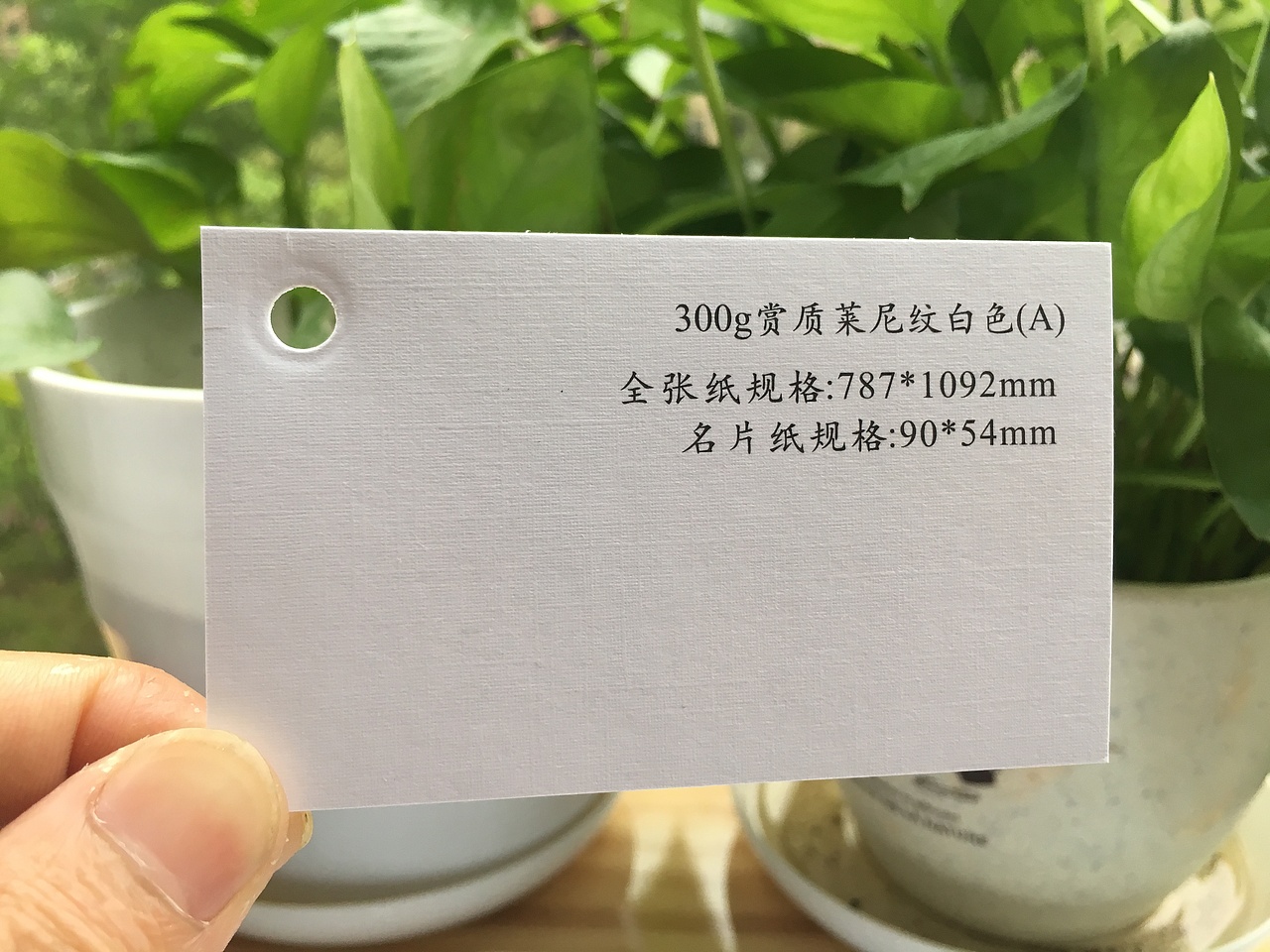 2019款特种纸艺术纸实物展示样册