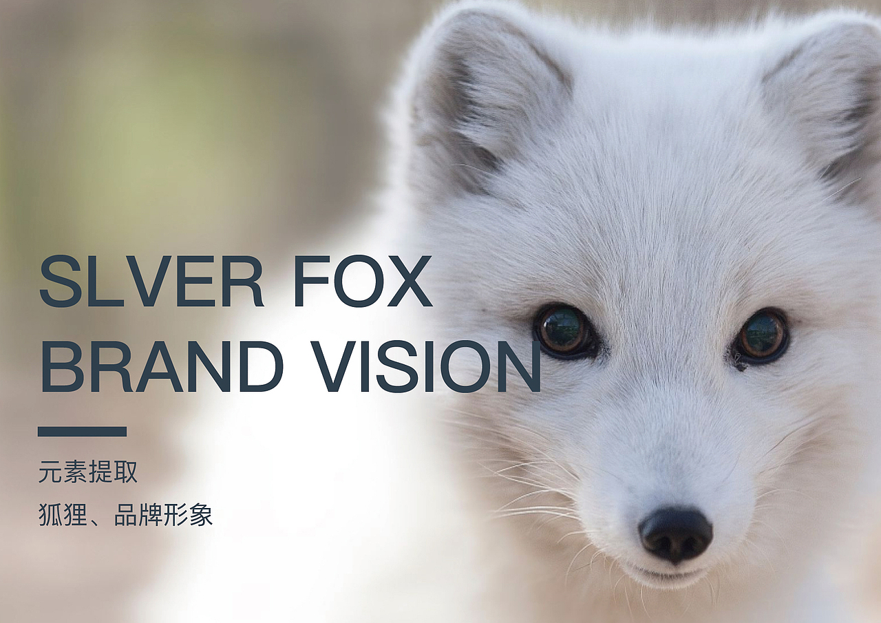 关于一个LOGO的诞生 -- 《银狐》