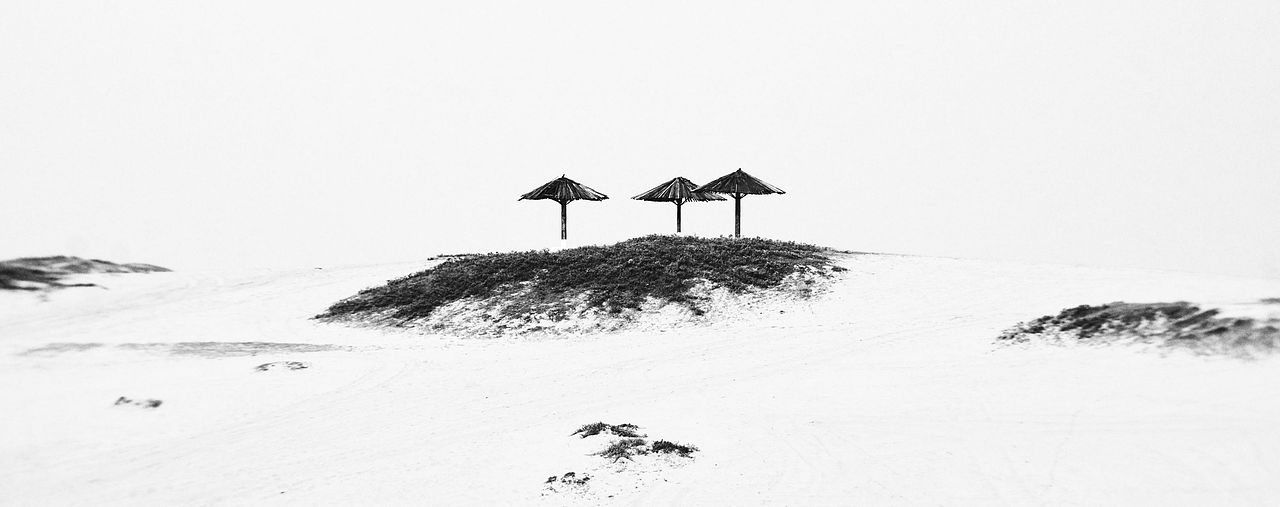 野外（图ZMzI1MTIwMzcy） - 风光摄影 - 站酷设计师月球上种大象原创素材 - 站酷ZCOOL