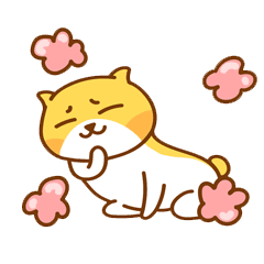 【微信表情】帝格是只大头猫