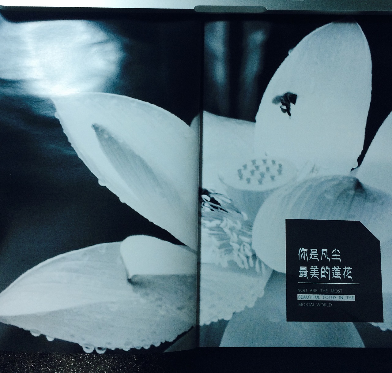 《仓央嘉措》书籍装帧设计(图ZNTEyNjQyOTY=) - 书籍/画册 - 站酷设计师Eileen素雪原创素材 - 站酷ZCOOL