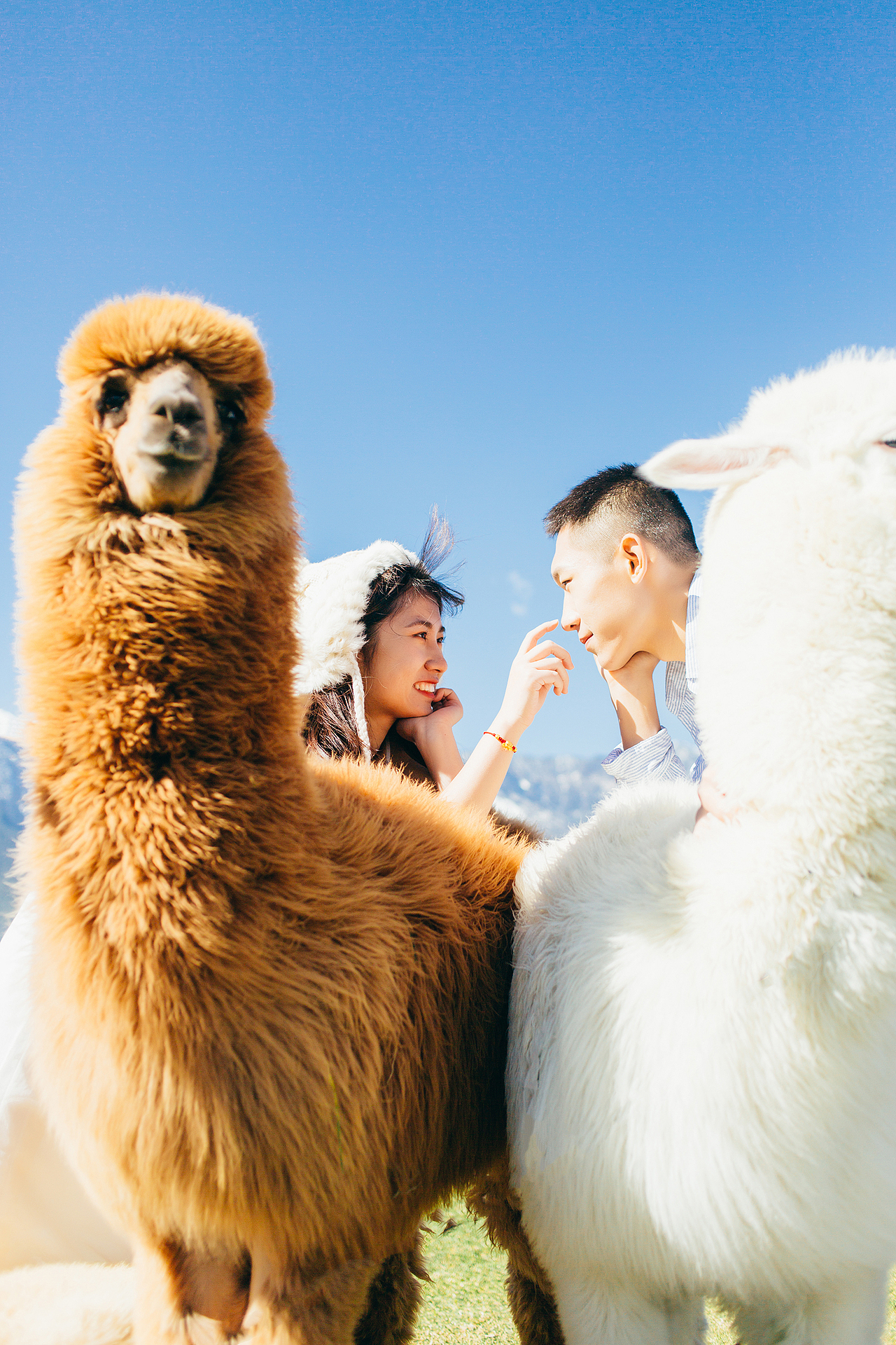 大理婚纱照（图ZMTk0MjQ1MjY4） - 人像摄影 - 站酷设计师花屿集原创素材 - 站酷ZCOOL