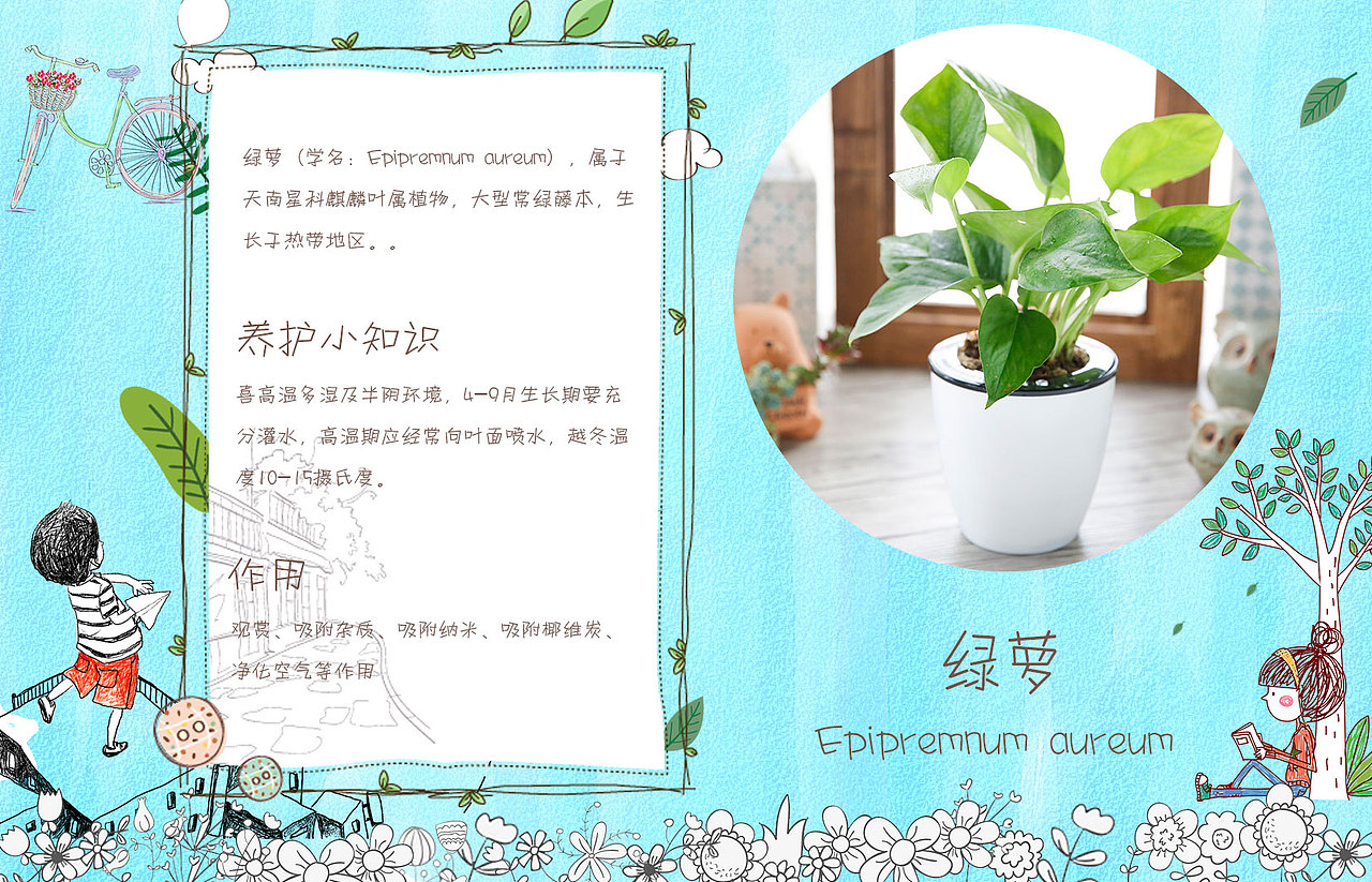 绿植便签（图ZNjEwNjM0MjQ=） - 其他平面 - 站酷设计师TryKing原创素材 - 站酷ZCOOL