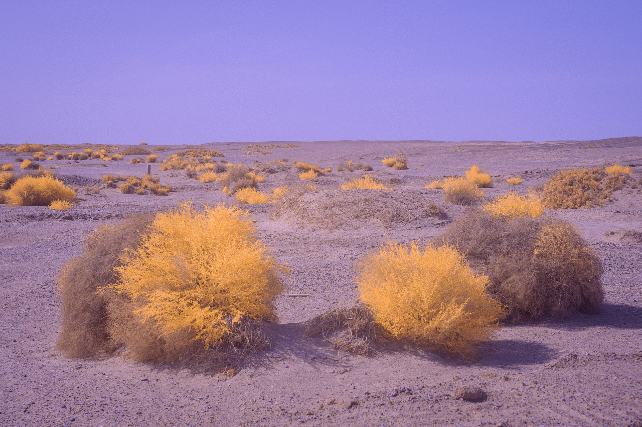 戈壁|摄影|时尚/艺术摄影|monkey仔 - 原创作品 - 站酷 (zcool)