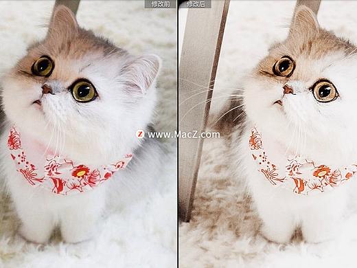 网红ins风柔和裸色照片滤镜Lr预设