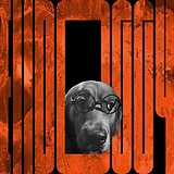 Elldoggy1209的头像