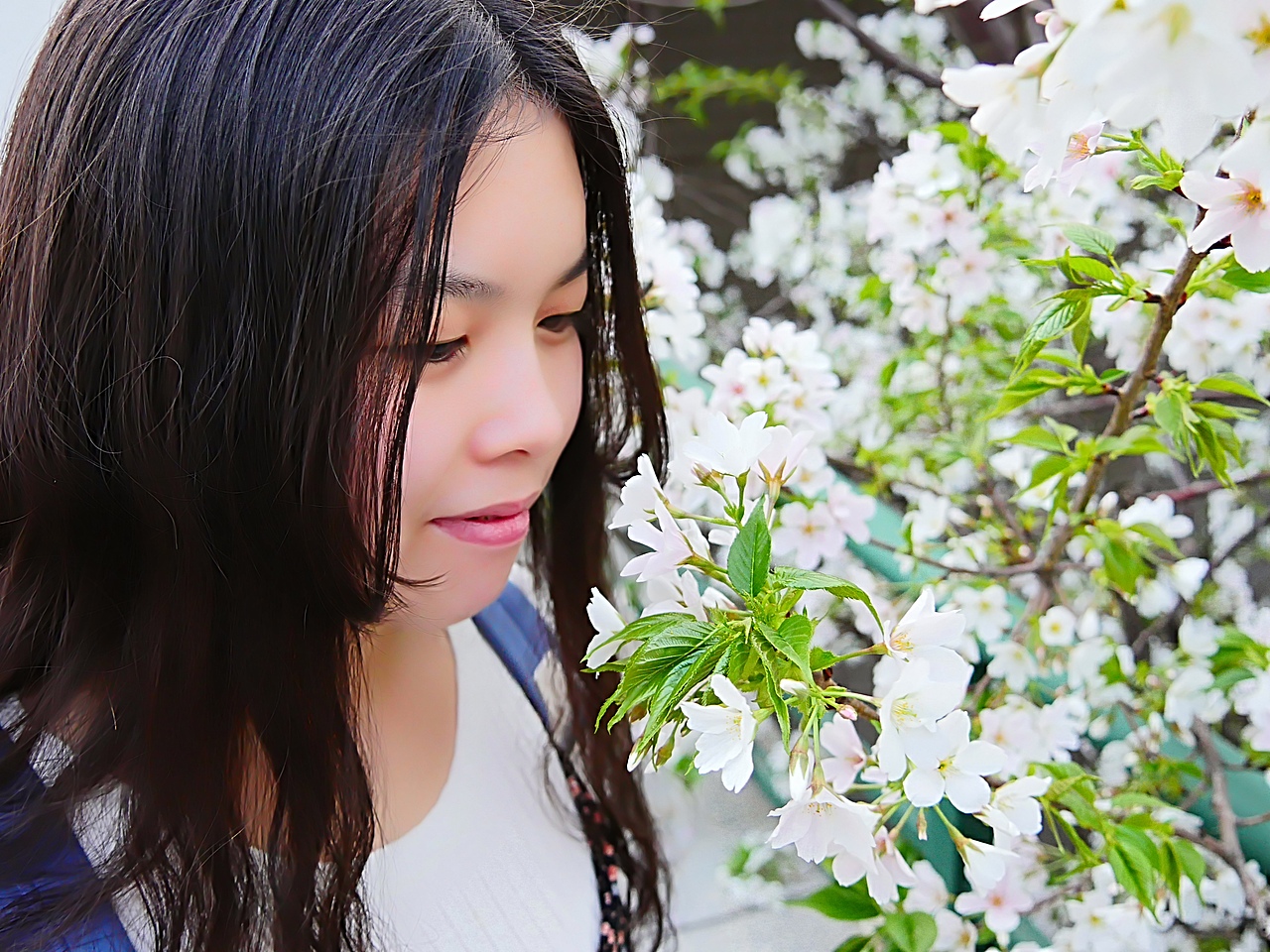 花开了（图ZMjkzMDUyODgw） - 人像摄影 - 站酷设计师李木成原创素材 - 站酷ZCOOL