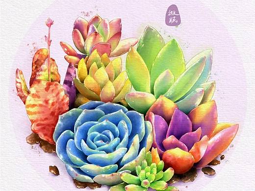 我的多肉系列（板绘）（个人主页-ZNjcyMTg1NzI=） - 绘画 - 站酷设计师微眠手绘原创素材 - 站酷ZCOOL