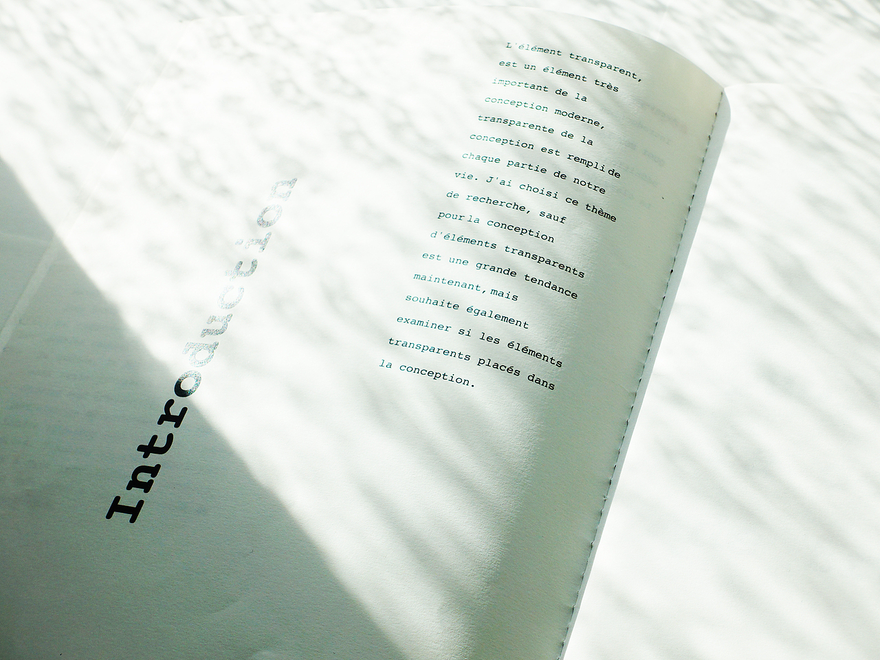 Graduation thesis,毕业论文关于透明设计排版设计