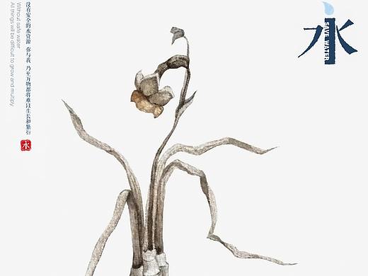 《关乎万物的命运》