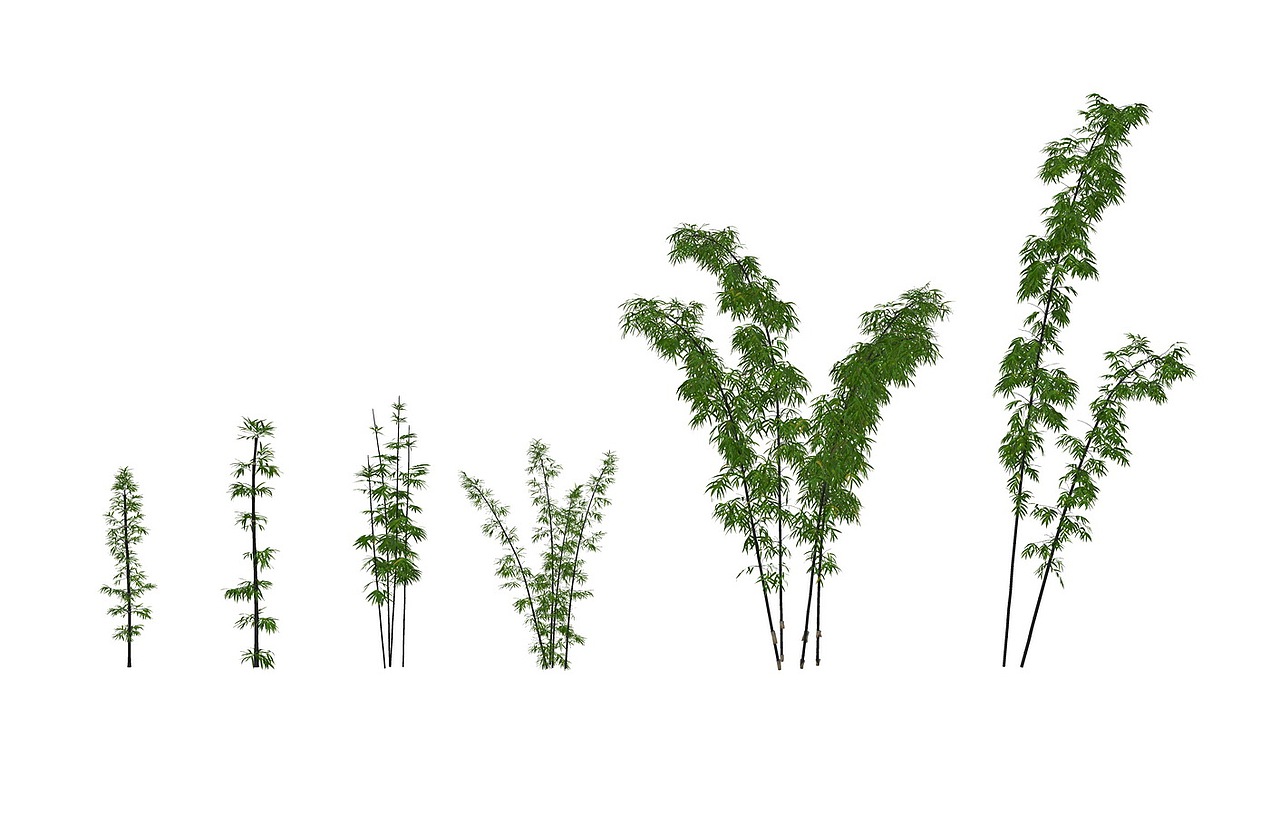 3D竹子SU模型下载